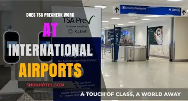 Does TSA PreCheck Work Internationally? A Traveler's Guide to Global Airports