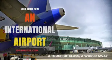 Exploring Turin's Air Travel Hub: Is There an International Airport?