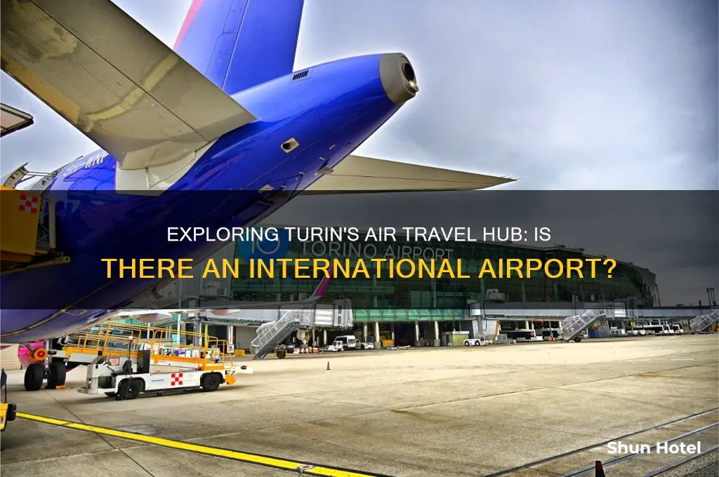 does turin have an international airport