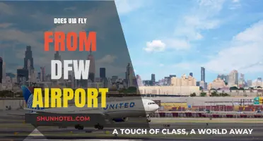 Does United International Airlines Operate Flights from DFW Airport?
