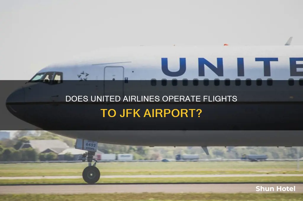 does united fly into jfk airport