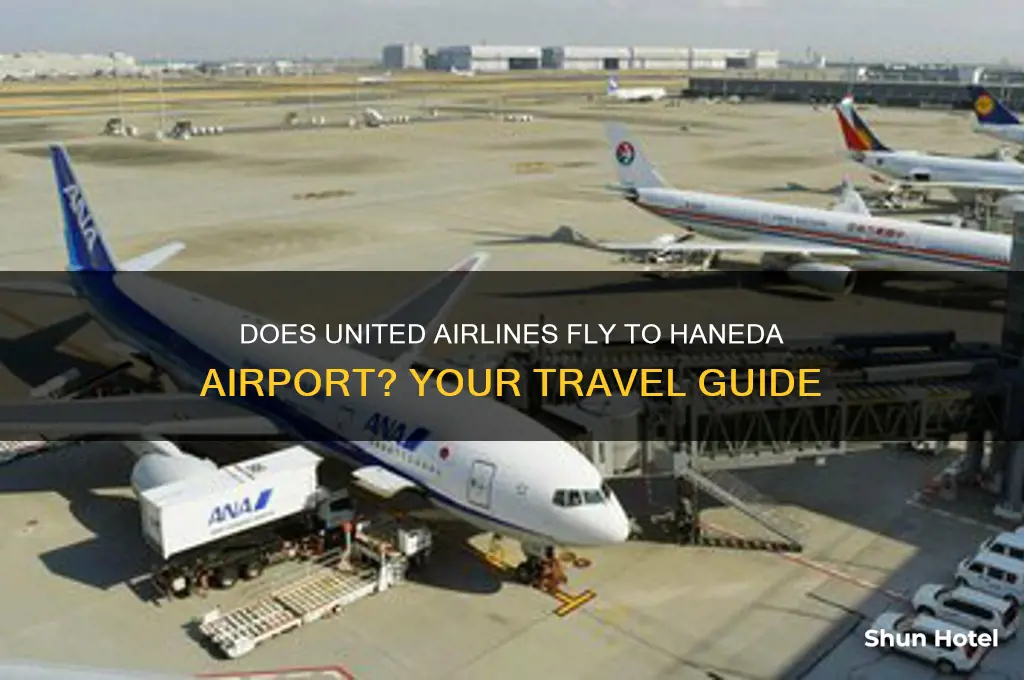 does united fly to haneda airport