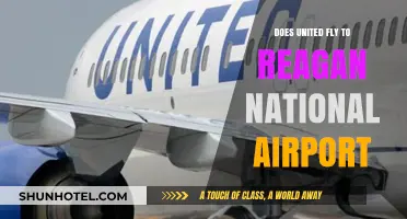 Does United Airlines Operate Flights to Reagan National Airport?