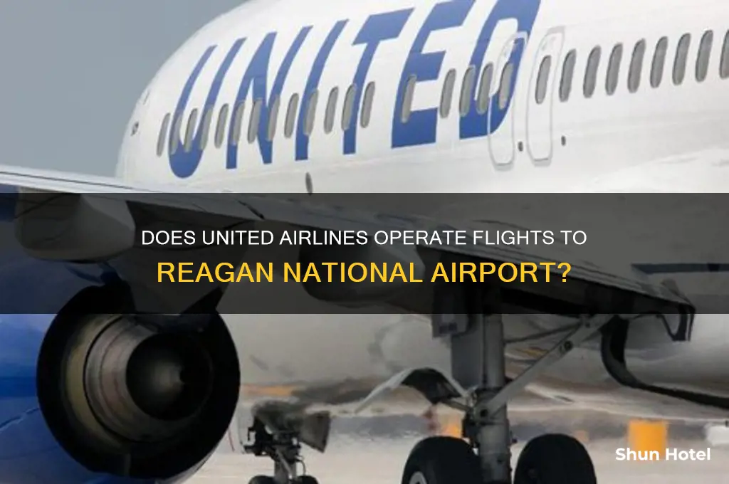 does united fly to reagan national airport