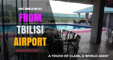 Does Vanilla Sky Operate Flights from Tbilisi Airport? A Quick Guide