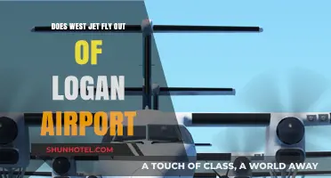 Does WestJet Operate Flights from Boston Logan Airport?