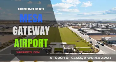 Does WestJet Fly into Mesa Gateway Airport? Your Travel Guide