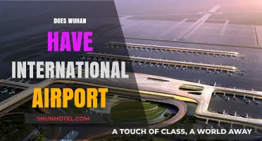 Exploring Wuhan's Global Connectivity: Does It Have an International Airport?
