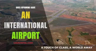 Exploring Wyoming's Air Travel: Does the State Have an International Airport?