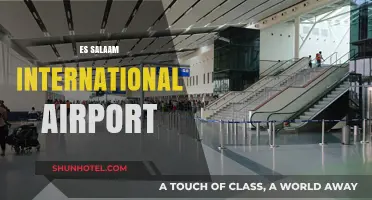 Exploring Es Salaam International Airport: A Gateway to Tanzania's Wonders