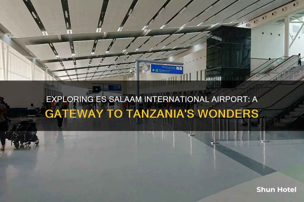 es salaam international airport