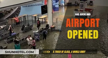 Auckland Airport Reopens: What Travelers Need to Know Now