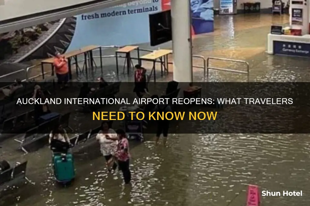 has auckland international airport reopened