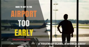 Why We Arrive at the Airport Hours Before Our Flight