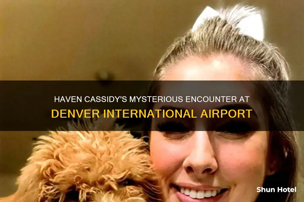 haven cassidy denver international airport