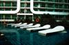 hotels accommodation