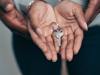 hotels management ownership