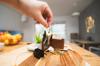 hotels management ownership