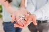 hotels management ownership