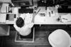 hotels management ownership