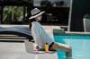 hotels online