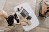 hotels online