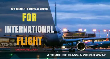 Stress-Free Travel: Ideal Arrival Time for International Flights