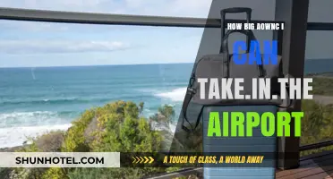 Air Travel: Maximizing Your Carry-On Luggage Allowance