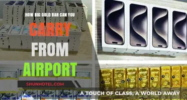 Airport Gold Transport: How Big a Bar Can You Carry?
