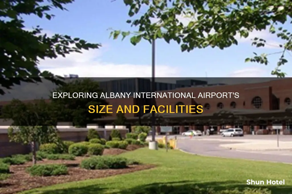 how big is albany international airport