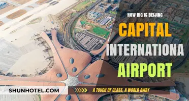 Exploring Beijing Capital International Airport's Massive Size and Scale