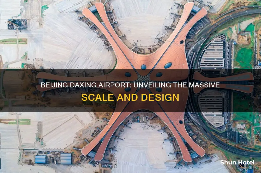 how big is beijing daxing international airport