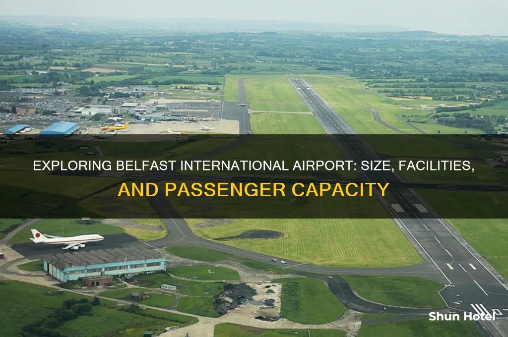 how big is belfast international airport