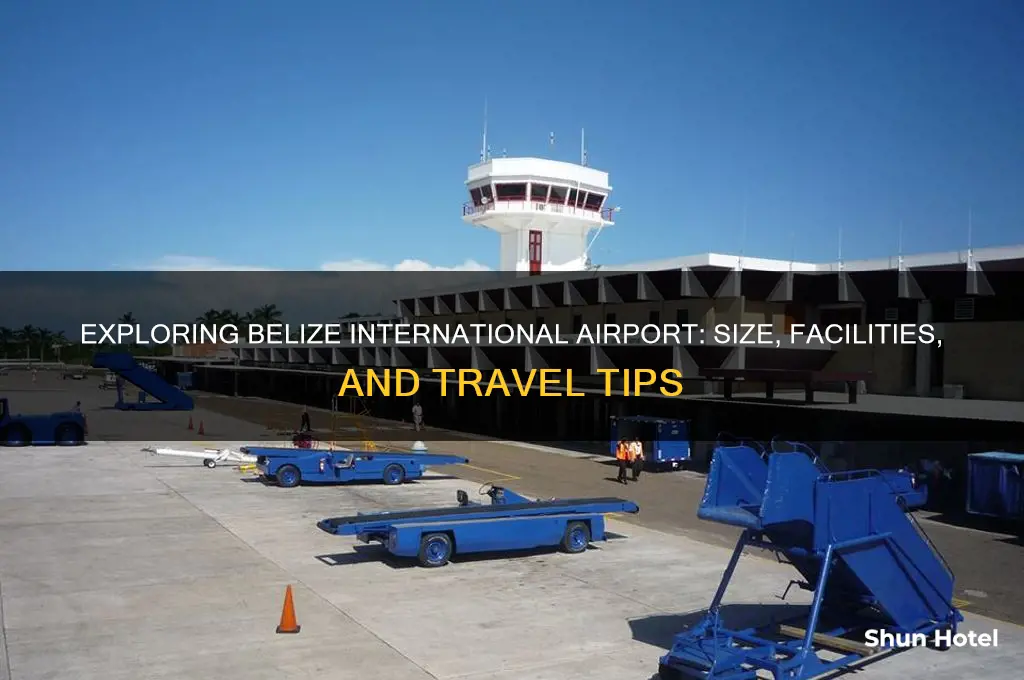 how big is belize international airport