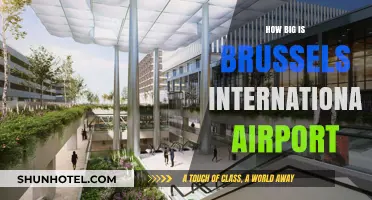 Exploring Brussels International Airport: Size, Capacity, and Facilities Overview