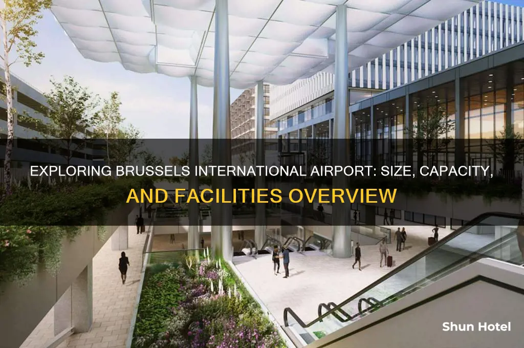 how big is brussels international airport