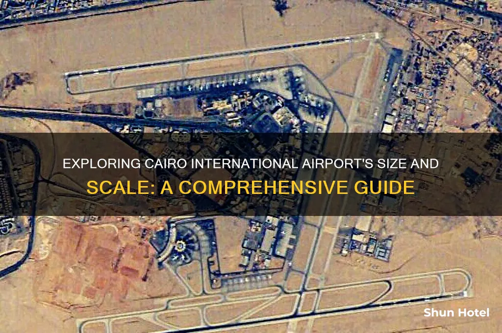 how big is cairo international airport