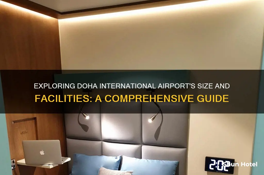 how big is doha international airport