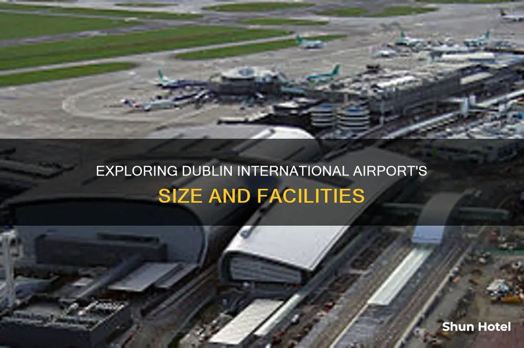 how big is dublin international airport