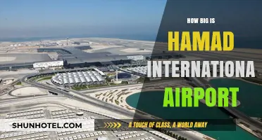 Exploring Hamad International Airport's Massive Size and Facilities