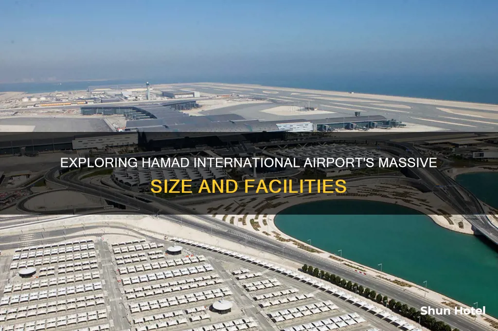 how big is hamad international airport