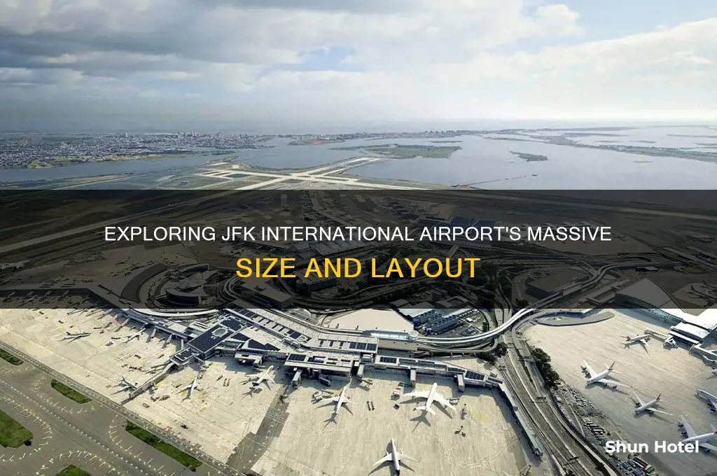 how big is jfk international airport