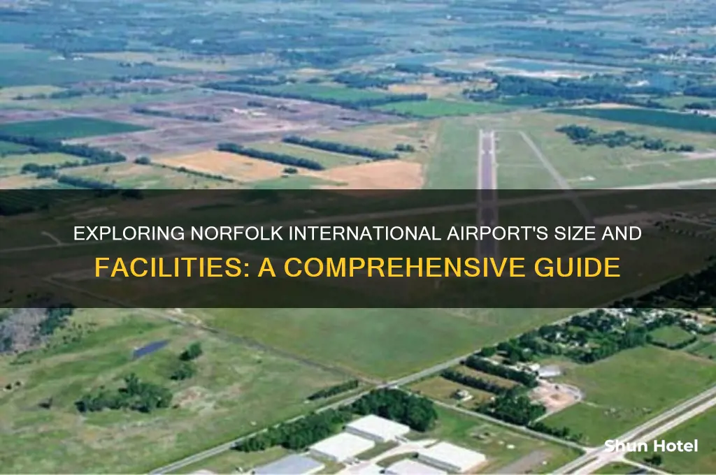 how big is norfolk international airport