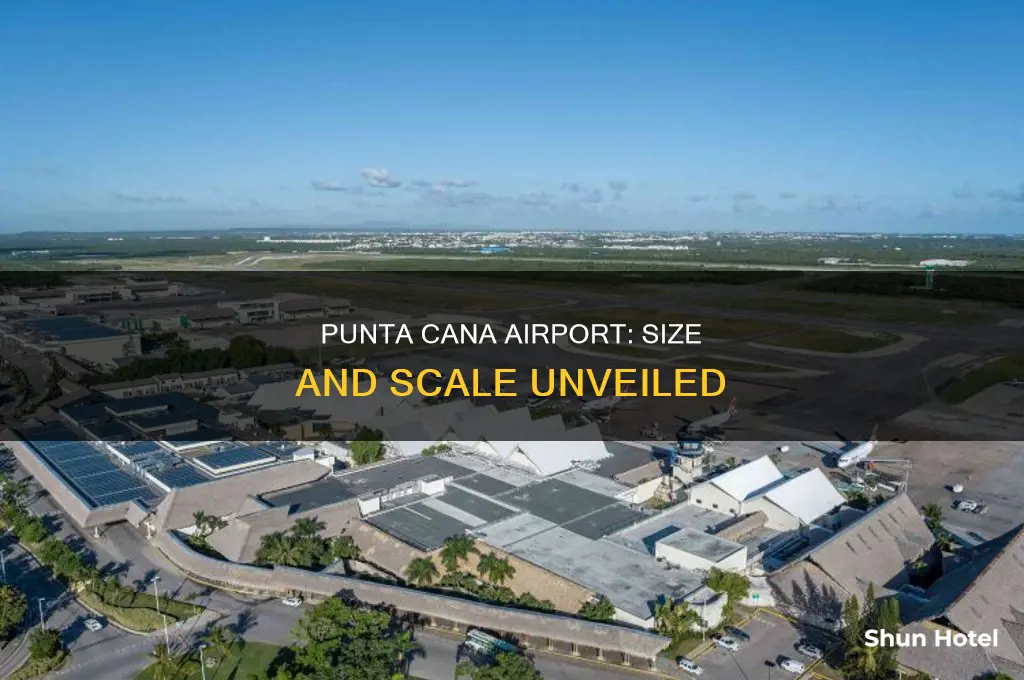 how big is punta cana airport