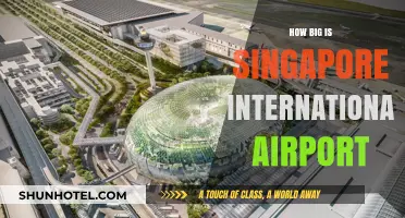 Exploring the Massive Scale of Singapore International Airport