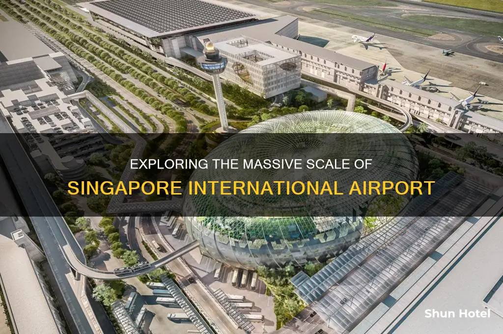 how big is singapore international airport