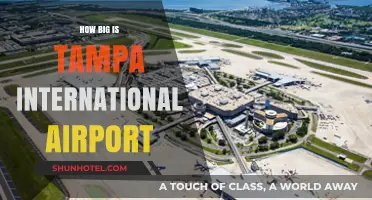 Exploring Tampa International Airport's Size and Facilities: A Comprehensive Guide