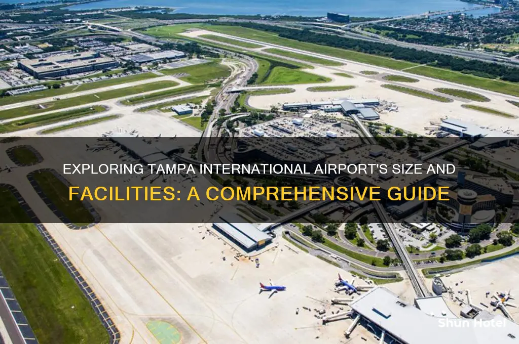 how big is tampa international airport