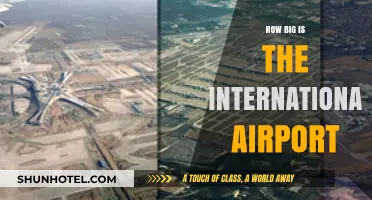 Exploring the Massive Scale of International Airports Worldwide
