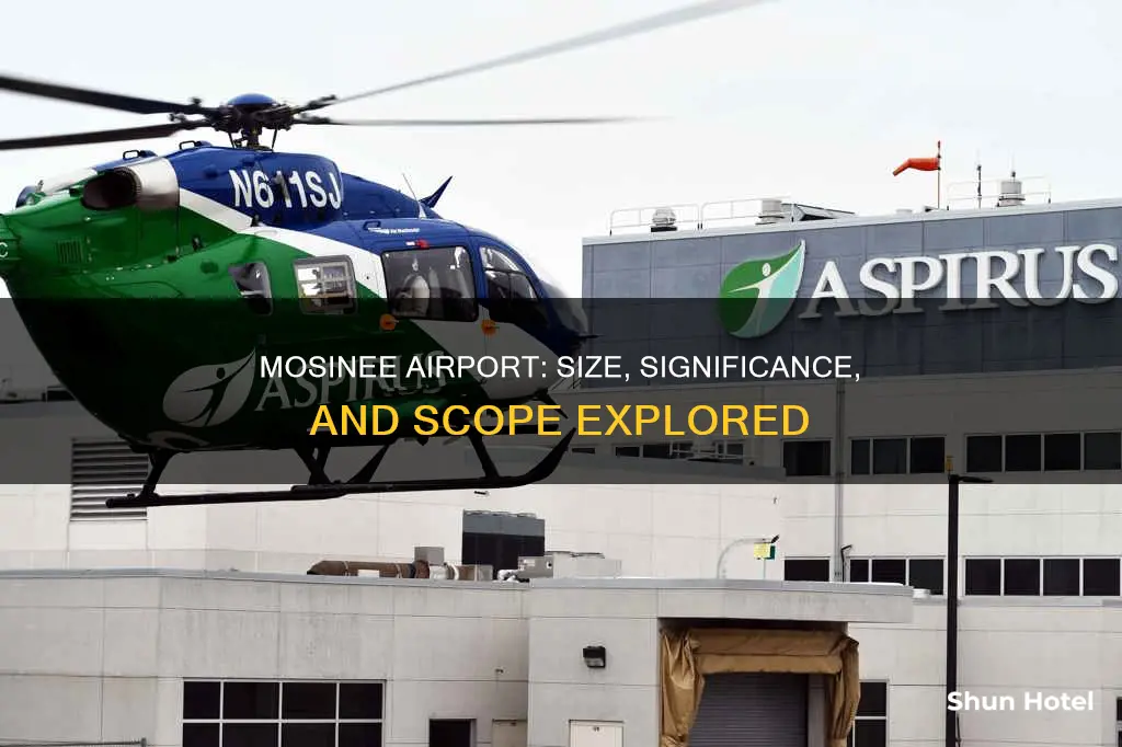 how big is the mosinee airport